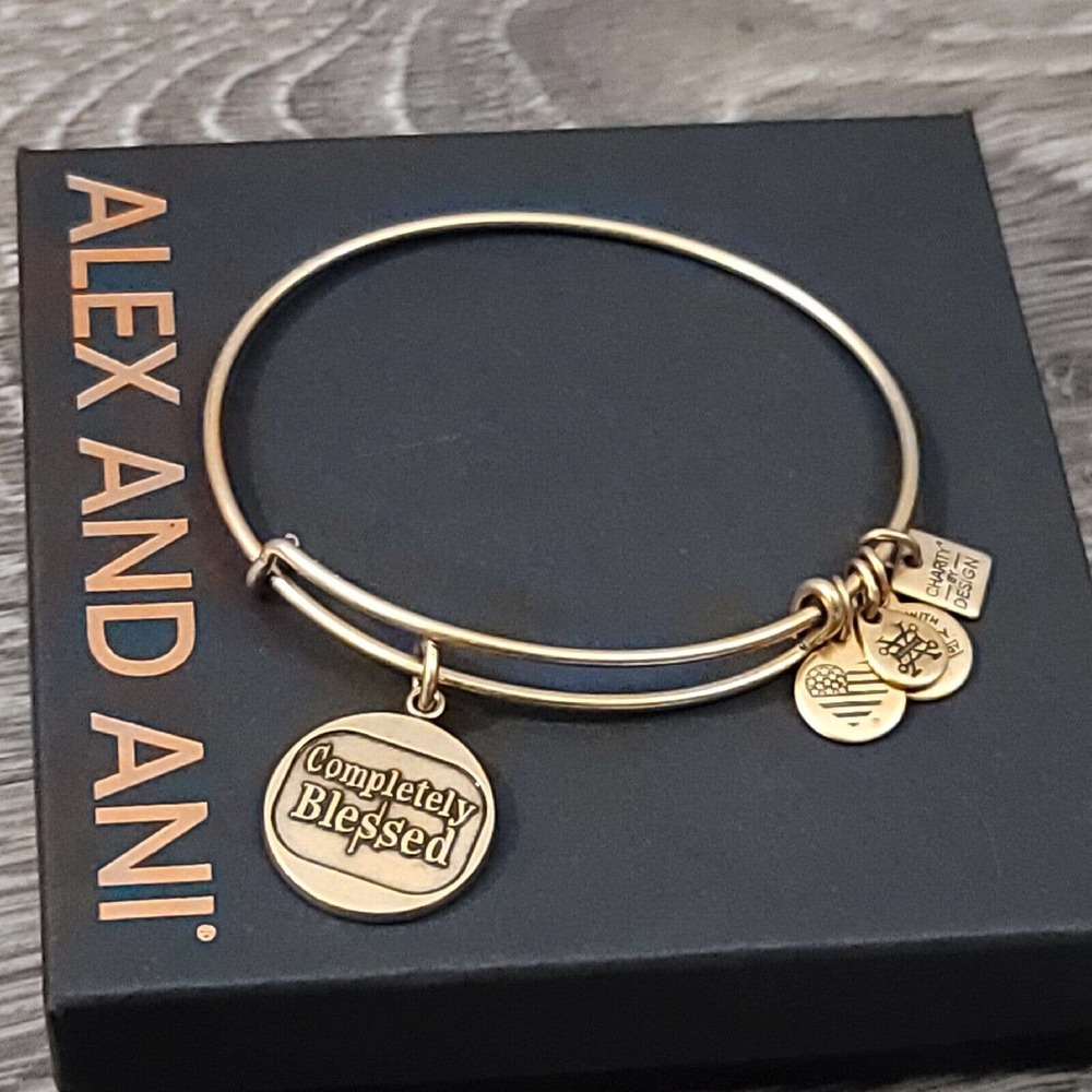 Alex and Ani Completely Blessed Charm Bracelet Positive Faith Gratitude - Picture 3 of 10
